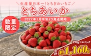 【先行予約】いちご 厳選！さくら市産 とちあいか（290g×4パック） ※2027年1月～発送