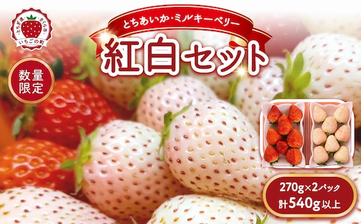 《数量限定》紅白セット（とちあいか・ミルキーベリー） 270g×2パック 540g以上 ｜いちご イチゴ 苺 先行予約 栃木県 果物 くだもの フルーツ デザート とちあいか ミルキーベリー 新鮮 贈答 ギフト 食べ比べ ※2027年1月～発送