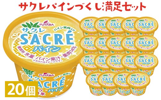 サクレパインづくし満足セット 20個｜アイス かき氷 シャーベット デザート※着日指定不可※離島への配送不可