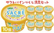 サクレパインづくしセット　10個｜アイス かき氷 シャーベット デザート※着日指定不可※離島への配送不可