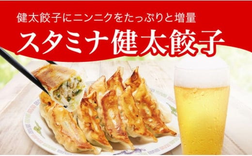 「宇都宮餃子館」スタミナ健太餃子 960g（48個）≪ギョーザ 冷凍餃子 冷凍食品 グルメ 食品 惣菜 中華惣菜 点心 中華≫
