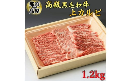 那須高原和牛上カルビ1.2kg入 肉 牛肉 黒毛和牛 グルメ 栃木県 送料無料※着日指定不可