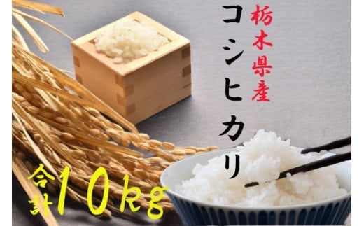 【令和7年度産新米】栃木県さくら市産コシヒカリ精米10kg（精米5kg×2袋）｜お米 ご飯 美味しい 産地直送 おうちごはん 白米 新米 自宅用 ※2025年10月上旬頃より順次発送予定