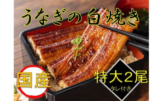 国産うなぎ白焼き2尾セット（たれ付き）◆≪鰻 ウナギ 国産 国内産 タレ ふっくら しらやき おうちごはん ご褒美≫ ※着日指定送不可
