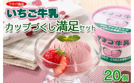 【数量限定】イチゴ牛乳カップづくし満足セット 20個｜アイス デザート ※離島への配送不可