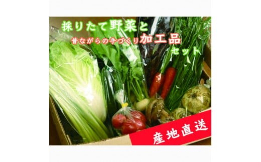 【産地直送】採りたて野菜と昔ながらの手づくり加工品セット≪旬の野菜 詰め合わせ 野菜セット 栃木県産 国産≫