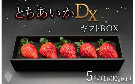 【先行予約】【数量限定】とちあいかDX ギフトBOX（5粒）｜いちご イチゴ 苺 ※2025年11月上旬頃より順次発送予定