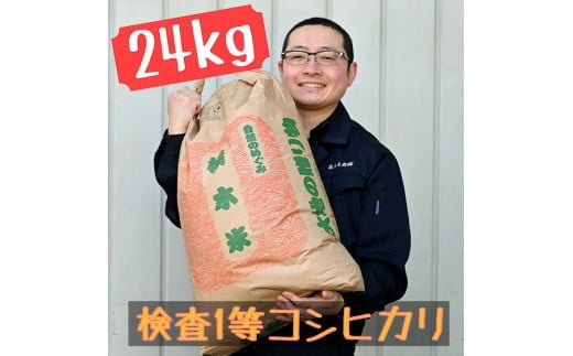 令和7年栃木県産 コシヒカリ 玄米24kg【検査1等米】 ※離島への配送不可