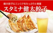 「宇都宮餃子館」スタミナ健太餃子 960g（48個）≪ギョーザ 冷凍餃子 冷凍食品 グルメ 食品 惣菜 中華惣菜 点心 中華≫