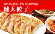 「宇都宮餃子館」健太餃子 960g（48個）≪冷凍餃子 冷凍食品 ギョーザ グルメ 食品 惣菜 中華惣菜 点心 中華≫