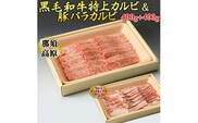 那須高原和牛特上カルビ400ｇ入+栃木県産枝肉熟成ヤシオポーク匠バラカルビ400ｇ入≪肉 牛肉 豚肉 グルメ 栃木県≫