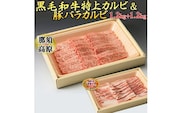 那須高原和牛特上カルビ1.2kｇ入栃木県産枝肉熟成ヤシオポーク匠バラカルビ1.2kｇ入 肉 牛肉 豚肉 グルメ 栃木県 送料無料※着日指定不可