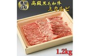 那須高原和牛上カルビ1.2kg入 肉 牛肉 黒毛和牛 グルメ 栃木県 送料無料※着日指定不可