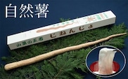 さくらブランド認証品　えみの自然薯　1本（500g以上）山芋 とろろ 国産 健康※2025年11月下旬頃より順次発送予定