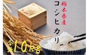 【令和7年度産新米】栃木県さくら市産コシヒカリ精米10kg（精米5kg×2袋）｜お米 ご飯 美味しい 産地直送 おうちごはん 白米 新米 自宅用 ※2025年10月上旬頃より順次発送予定