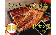 国産うなぎ白焼き2尾セット（たれ付き）◆≪鰻 ウナギ 国産 国内産 タレ ふっくら しらやき おうちごはん ご褒美≫　※着日指定送不可