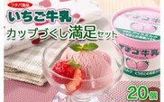 【数量限定】イチゴ牛乳カップづくし満足セット　20個｜アイス デザート ※離島への配送不可