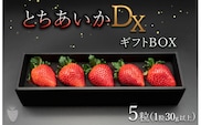 【先行予約】【数量限定】とちあいかDX ギフトBOX（5粒）｜いちご イチゴ 苺 ※2025年11月上旬頃より順次発送予定