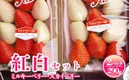 売り切れ いちご 紅白セット（ミルキーベリー、スカイベリー）【先行予約 数量限定 栃木県 果物 くだもの フルーツ 苺 イチゴ】※2023年1月下旬～5月下旬頃に順次発送予定