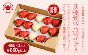 満足3種食べ比べセット（ミルキーベリー、スカイベリー、とちあいか）400g×2パック 800g｜先行予約 数量限定 栃木県 果物 くだもの フルーツ 苺 イチゴ ※2026年2月上旬～4月中旬頃に順次発送予定