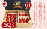 満足3種食べ比べセット（ミルキーベリー、スカイベリー、とちあいか）400g×2パック 800g｜先行予約 数量限定 栃木県 果物 くだもの フルーツ 苺 イチゴ ※2027年1月～発送
