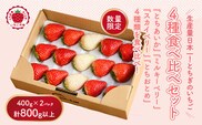 大満足4種食べ比べセット（とちおとめ、ミルキーベリー、とちあいか、スカイベリー）400g×2パック 800g｜先行予約 数量限定 栃木県 果物 くだもの フルーツ 苺 イチゴ ※2026年2月上旬～4月中旬頃に順次発送予定