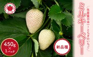 【先行予約】いちご ミルキーベリーセット 450g×1パック ｜いちご イチゴ 苺 先行予約 栃木県 果物 くだもの フルーツ ミルキーベリー 新鮮 贈答 ギフト 高級 ※2026年1月中旬～4月中旬頃に順次発送予定