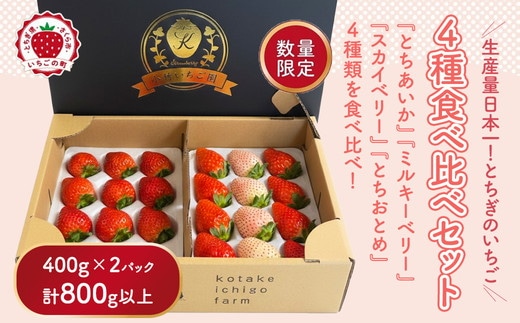 大満足4種食べ比べセット（とちおとめ、ミルキーベリー、とちあいか、スカイベリー）400g×2パック 800g｜先行予約 数量限定 栃木県 果物 くだもの フルーツ 苺 イチゴ ※2027年1月～発送