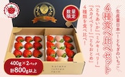 大満足4種食べ比べセット（とちおとめ、ミルキーベリー、とちあいか、スカイベリー）400g×2パック 800g｜先行予約 数量限定 栃木県 果物 くだもの フルーツ 苺 イチゴ ※2026年2月上旬～4月中旬頃に順次発送予定