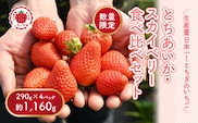 《数量限定》いちご厳選！さくら市産 とちあいか・スカイベリー食べ比べセット（290g×4パック） ｜ 先行予約 栃木県 果物 くだもの フルーツ 苺 イチゴ ※2026年1月中旬～3月下旬頃に順次発送予定