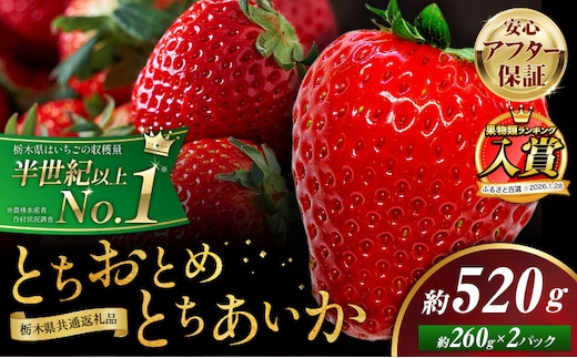 栃木 いちご 食べ比べ とちおとめ とちあいか 2パック 520g 《1月中旬-5月上旬頃出荷》 栃木県 野木町 いちご イチゴ 苺 とちおとめ とちあいか 食べ比べ 果物 フルーツ ハート型 ジューシー 【配送不可地域】沖縄・離島---nogi_local_78_520g---