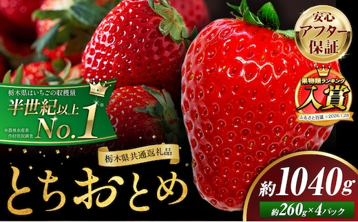 栃木 いちご とちおとめ 4パック 1040g 《1月中旬-5月上旬頃出荷》 栃木県 野木町 いちご イチゴ 苺 とちおとめ 果物 フルーツ ジューシー 【配送不可地域】沖縄・離島---nogi_local_80_1040g---