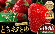 栃木 いちご とちおとめ 4パック 1040g 《1月中旬-5月上旬頃出荷》 栃木県 野木町 いちご イチゴ 苺 とちおとめ 果物 フルーツ ジューシー 【配送不可地域】沖縄・離島---nogi_local_80_1040g---