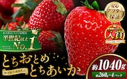 【先行予約】栃木 いちご 食べ比べ とちおとめ とちあいか 4パック 1040g 《1月中旬-4月末頃出荷予定》 栃木県 野木町 いちご イチゴ 苺 とちおとめ とちあいか 食べ比べ 果物 フルーツ ハート型 ジューシー 【配送不可地域あり】(沖縄・離島)---nogi_local_603_1040g---