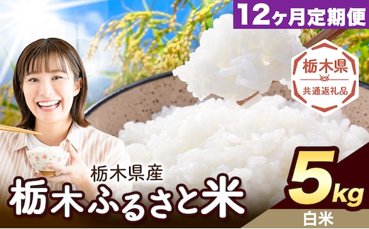 【12ヶ月定期便】米 栃木 ふるさと米 白米 5kg《申込月の翌月から出荷開始》栃木県 野木町 米 白米 精米 国産 お米 おこめ お弁当 おにぎり【栃木県共通返礼品】---nogi_local_30_5kg12tei---