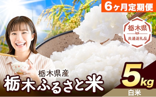 【6ヶ月定期便】米 栃木 ふるさと米 白米 5kg《申込月の翌月から出荷開始》栃木県 野木町 米 白米 精米 国産 お米 おこめ お弁当 おにぎり【栃木県共通返礼品】---nogi_local_28_5kg6tei---