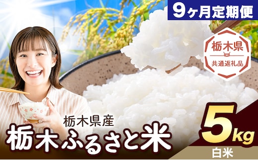 【9ヶ月定期便】米 栃木 ふるさと米 白米 5kg《申込月の翌月から出荷開始》栃木県 野木町 米 白米 精米 国産 お米 おこめ お弁当 おにぎり【栃木県共通返礼品】---nogi_local_29_5kg9tei---