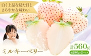 ミルキーベリー 約280g×2パック 計560g 株式会社澳原いちご農園《2026年12月下旬-2027年5月中旬頃出荷》栃木県 野木町 イチゴ 苺 朝摘み ミルキーベリー 果物 フルーツ スイーツ【配送不可地域あり】(沖縄・離島)---nogit_oin_11_560g---