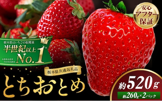 栃木 いちご とちおとめ 2パック 520g 《1月中旬-5月上旬頃出荷》 栃木県 野木町 いちご イチゴ 苺 とちおとめ 果物 フルーツ ジューシー 【配送不可地域】沖縄・離島---nogi_local_77_520g---