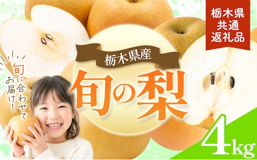 先行予約 旬の梨 約4kg 幸水 豊水 あきづき 新高 にっこり《8月上旬-10月中旬頃出荷予定》 栃木県 野木町 なし ナシ くだもの 果物 青果物 フルーツ---nogi_local_489_4kg---