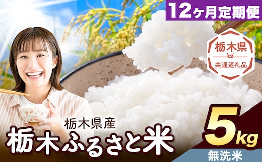 【12ヶ月定期便】米 栃木 ふるさと米 無洗米 5kg《申込月の翌月から出荷開始》栃木県 野木町 米 白米 精米 国産 お米 おこめ お弁当 おにぎり【栃木県共通返礼品】---nogi_local_6_5kg12tei---