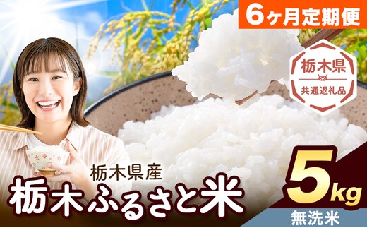 【6ヶ月定期便】米 栃木 ふるさと米 無洗米 5kg《申込月の翌月から出荷開始》栃木県 野木町 米 白米 精米 国産 お米 おこめ お弁当 おにぎり【栃木県共通返礼品】---nogi_local_4_5kg6tei---
