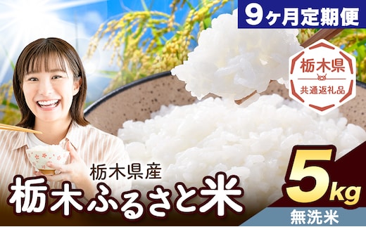 【9ヶ月定期便】米 栃木 ふるさと米 無洗米 5kg《申込月の翌月から出荷開始》栃木県 野木町 米 白米 精米 国産 お米 おこめ お弁当 おにぎり【栃木県共通返礼品】---nogi_local_5_5kg9tei---