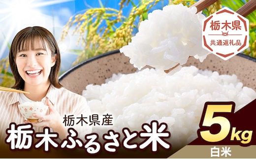 米 栃木 ふるさと米 白米 5kg《1月中旬-2月末頃出荷》栃木県 野木町 米 白米 精米 国産 お米 おこめ お弁当 おにぎり【栃木県共通返礼品】---nogi_local_206_5kg---