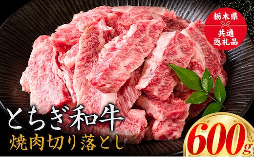 黒毛和牛 とちぎ和牛 焼肉切り落とし A4～A5等級 霜降り 赤身 ステーキ 極上 600g 数量限定 牛肉 冷凍 《30日以内に出荷予定(土日祝除く)》 ---nogi_local_55_2p---