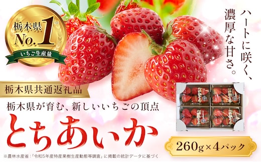 いちご とちあいか 4パック 1040g 《2025年12月下旬-2026年3月上旬頃出荷》 JAおやま 栃木県 野木町 イチゴ 苺 果物 フルーツ ハート型 贈答用 プレゼント スイーツ ケーキ 手作り トッピング ハート【栃木県共通返礼品】---nogi_jao_14_4p---