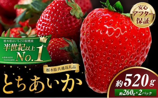 栃木 いちご とちあいか 2パック 520g 《1月中旬-5月上旬頃出荷》 栃木県 野木町 いちご イチゴ 苺 とちあいか 果物 フルーツ ジューシー 【配送不可地域】沖縄・離島---nogi_local_76_520g---