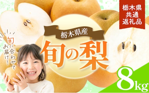 先行予約 旬の梨 約8kg 幸水 豊水 あきづき 新高 にっこり《8月上旬-10月中旬頃出荷予定》 栃木県 野木町 なし ナシ くだもの 果物 青果物 フルーツ---nogi_local_490_8kg---