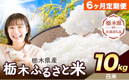 【6ヶ月定期便】米 栃木 ふるさと米 白米 10kg (5kg×2袋)《申込月の翌月から出荷開始》栃木県 野木町 米 国産 お米 おこめ お弁当 おにぎり【栃木県共通返礼品】---nogi_local_34_10kg6tei---