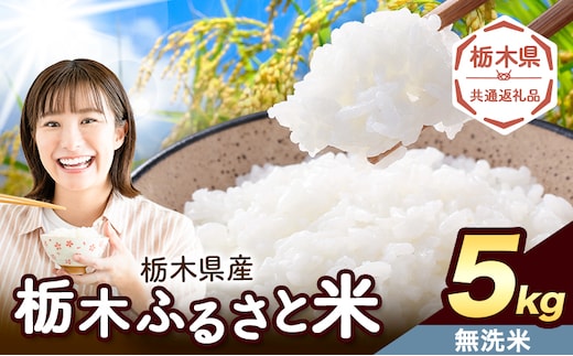 米 栃木 ふるさと米 無洗米 5kg《1月中旬-2月末頃出荷》栃木県 野木町 米 白米 精米 国産 お米 おこめ お弁当 おにぎり【栃木県共通返礼品】---nogi_local_202_5kg---